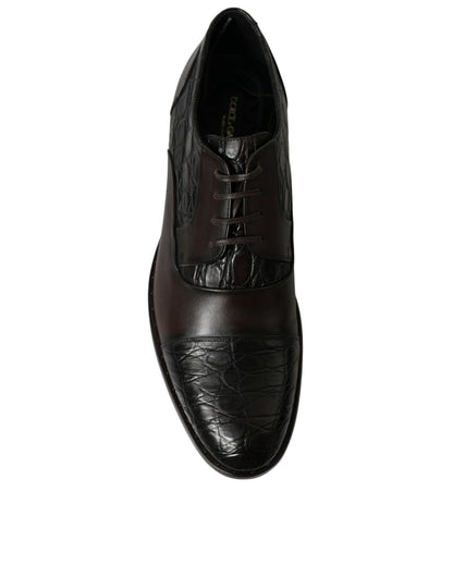 Dolce & Gabbana Elegant Brown Formal Derby Dress Shoes